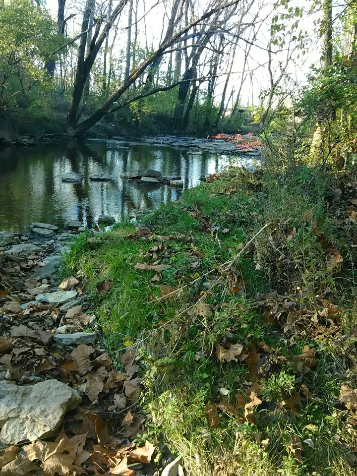 Creek