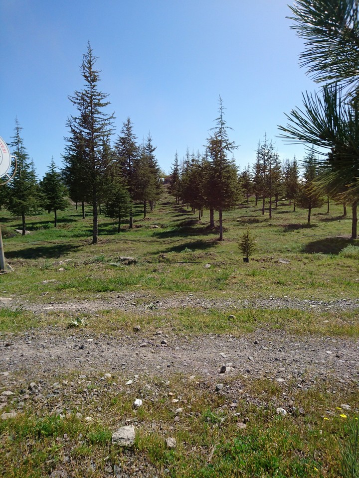 Doğa ve yeşillik