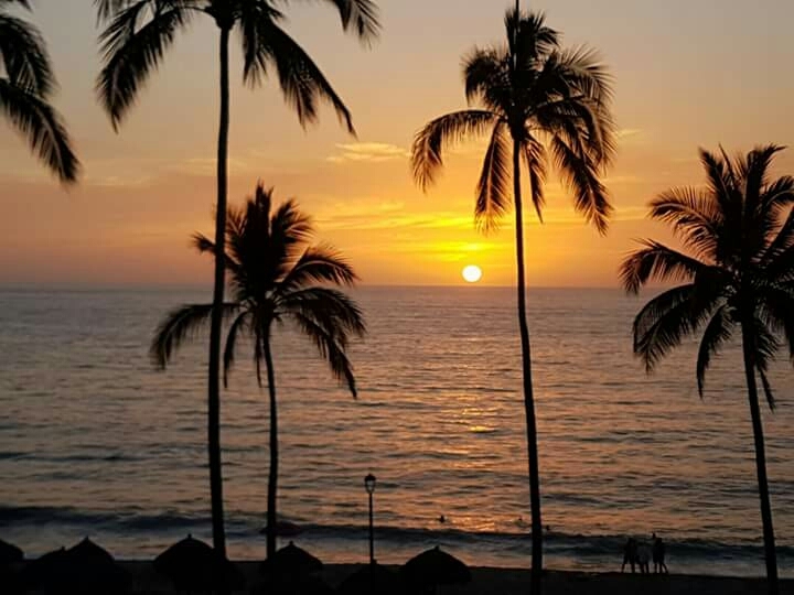 #Atardecer #México #Playa #Palmeras