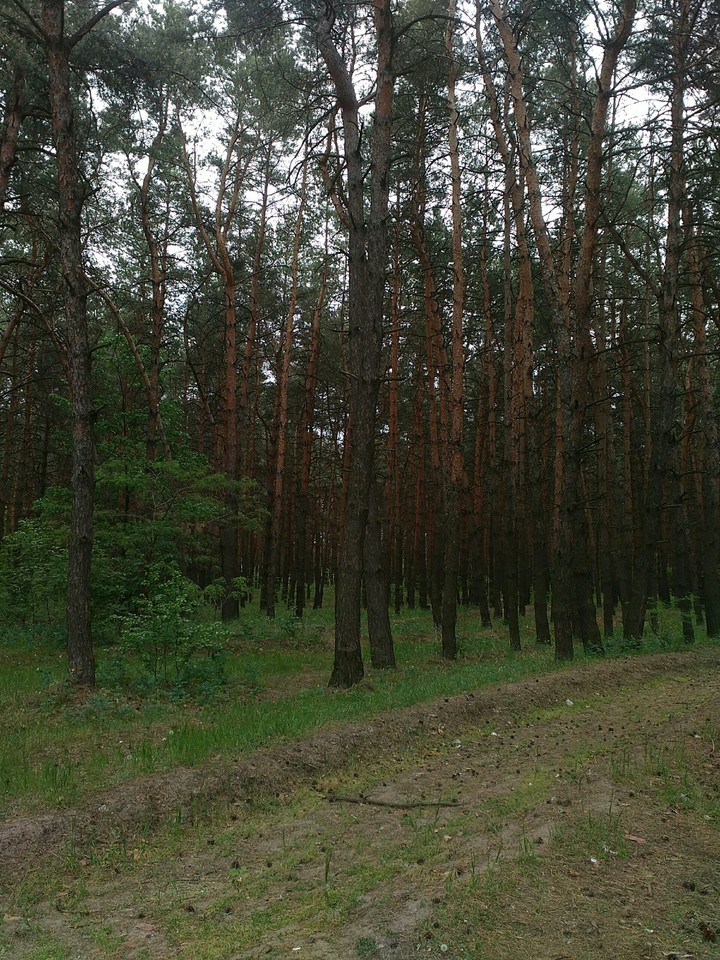 Вечер.