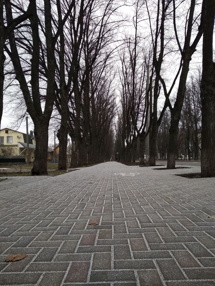 Дорога