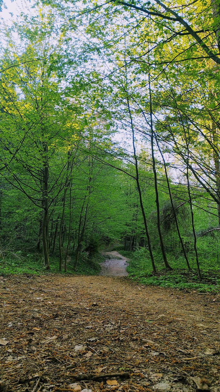 nature