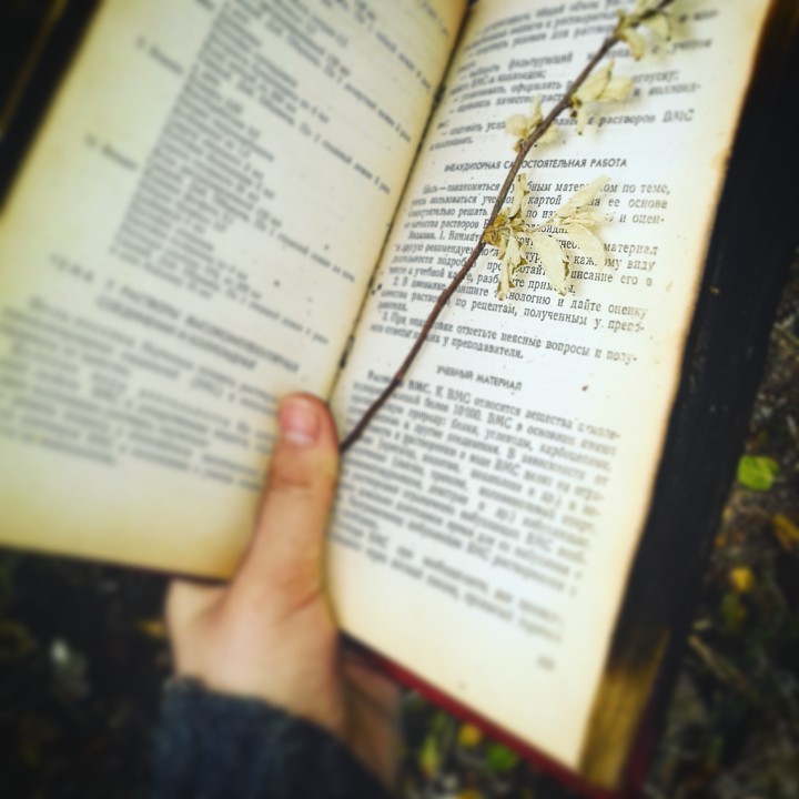 книга