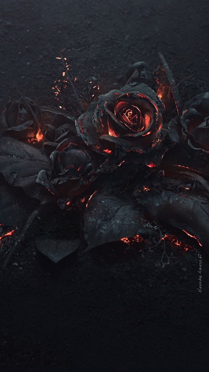 rose