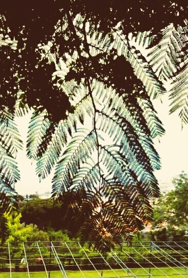 Summer