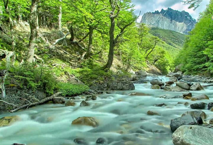 River of ice