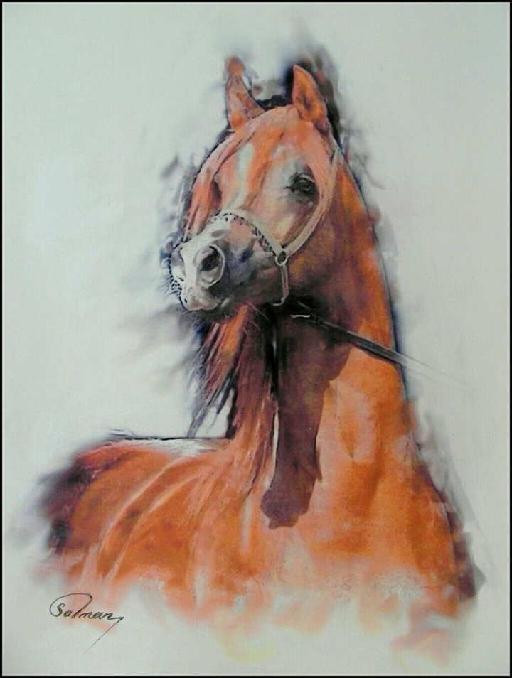 Arabian Horse