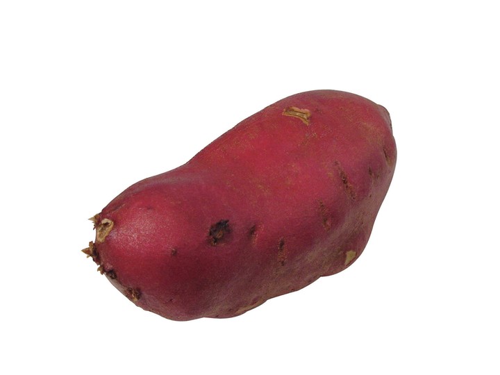 음식이미지