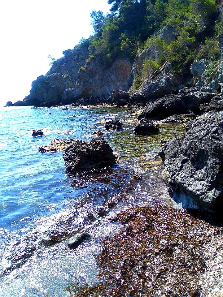 rocce