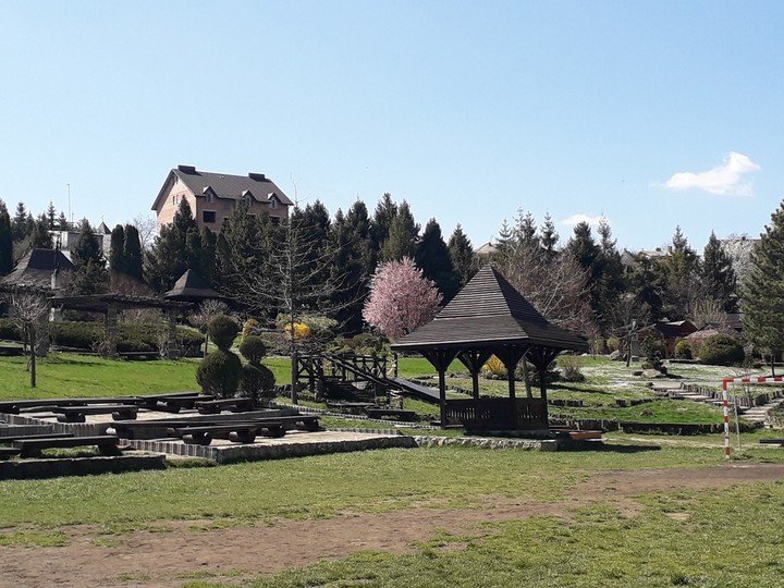 Краевид