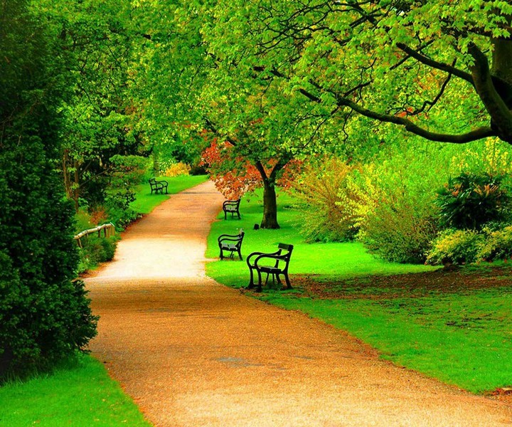 NATURE HD