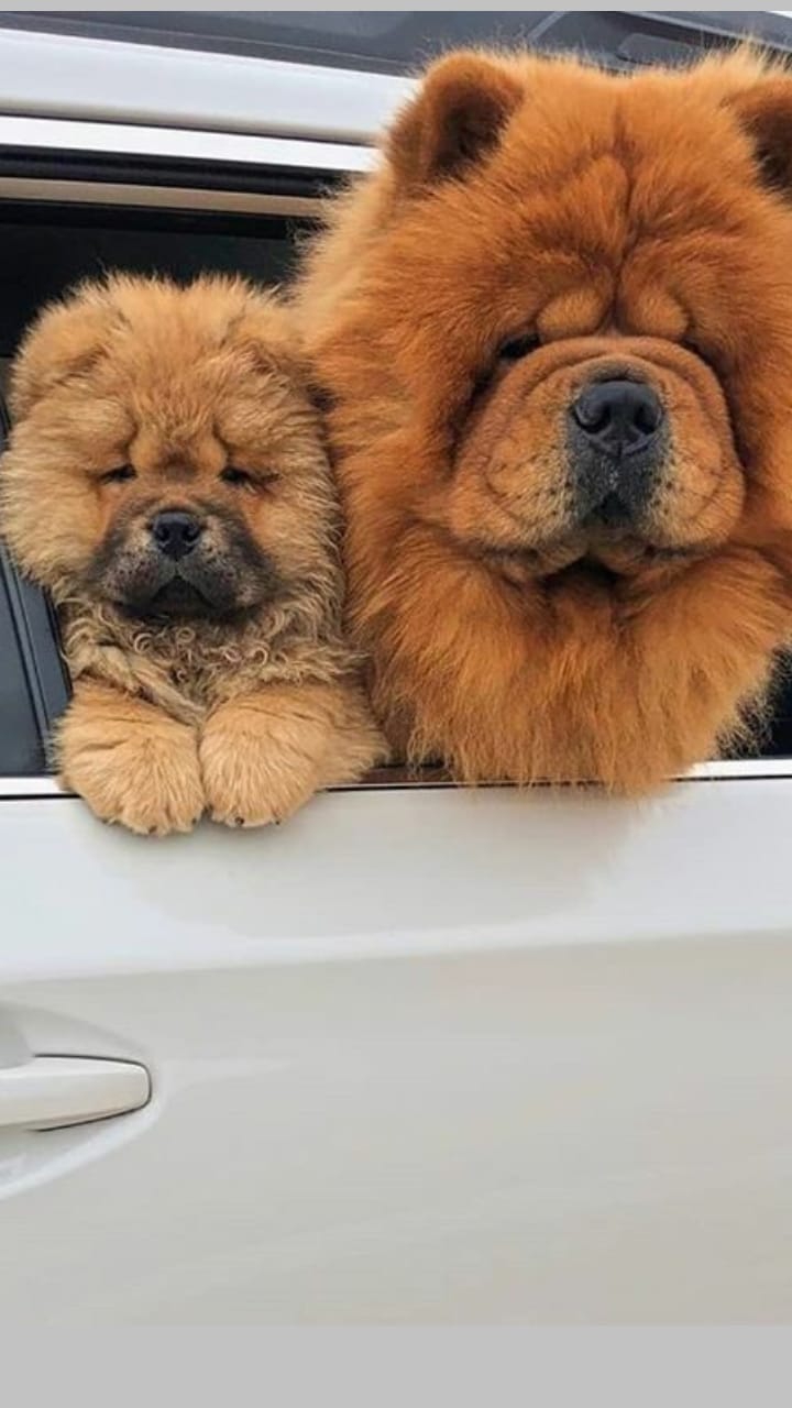 ♥