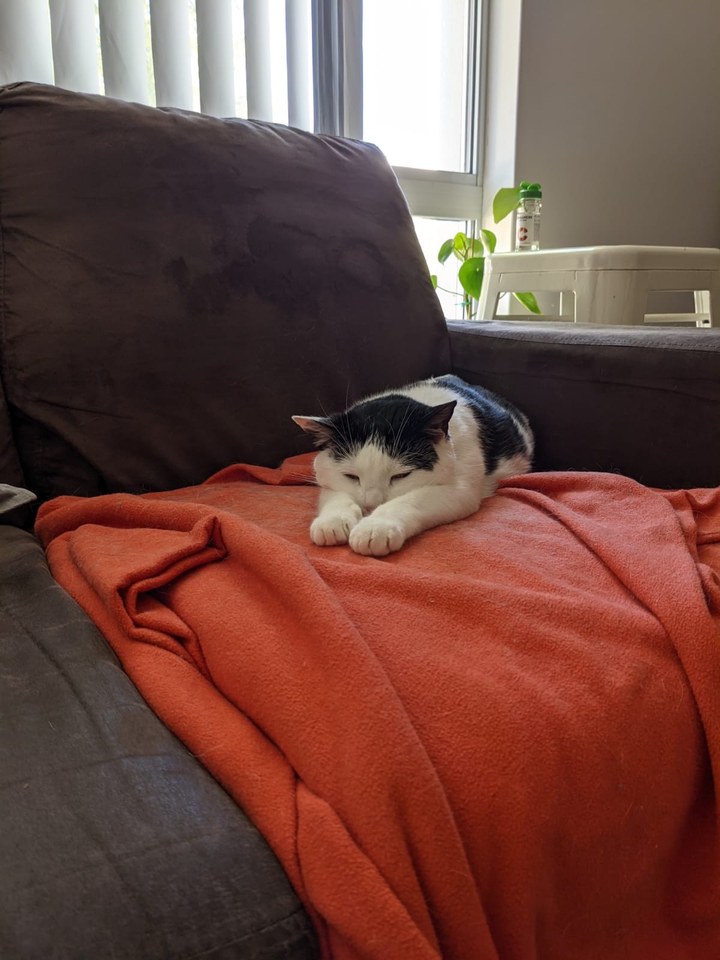 Ah! my daily yoga