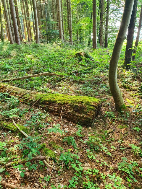 Somewhere in Bavaria
