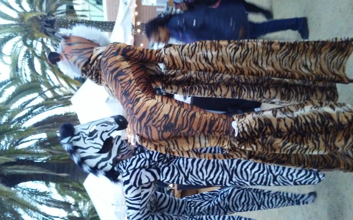 costumes