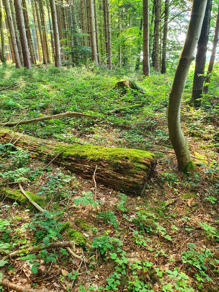 Somewhere in Bavaria