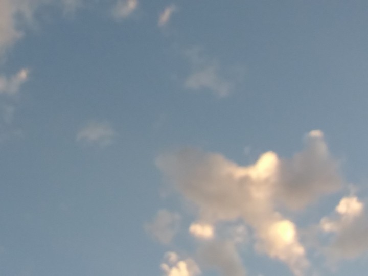dove of YAH