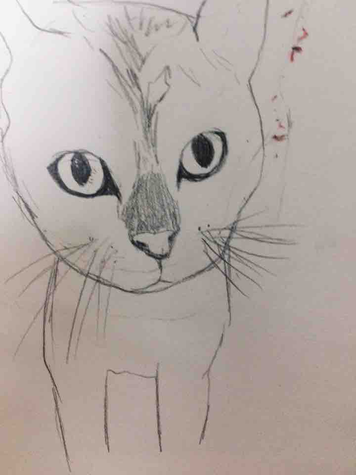 11살 딸이 고양이 짱이를 그리워하며 끄적끄적