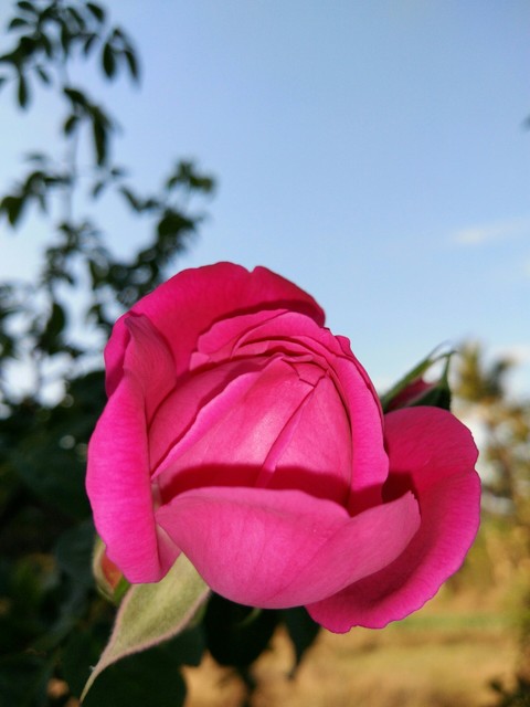 VIPUL