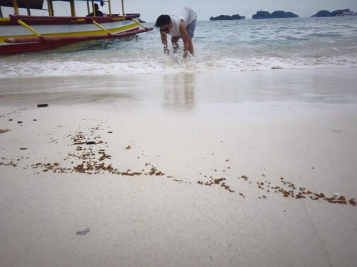 sea