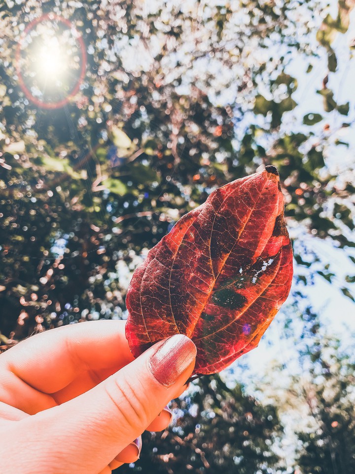 autumn