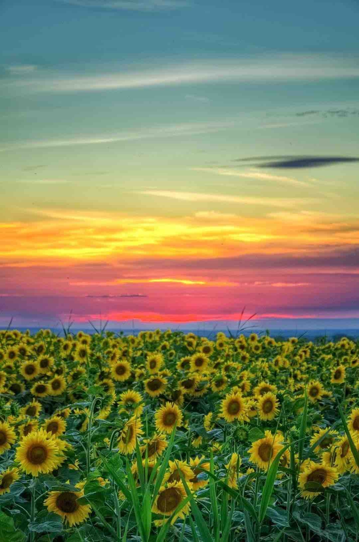 color of nature