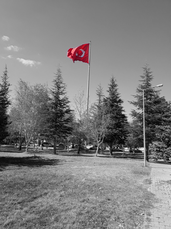 türk