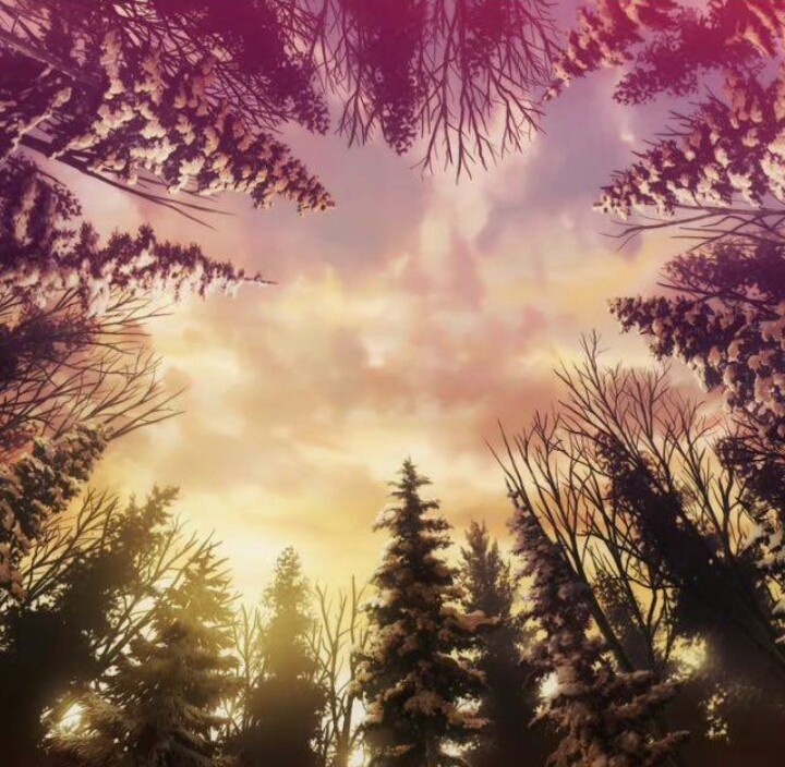 Forests