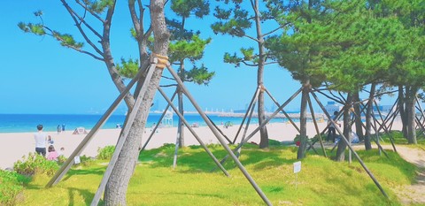 korea sea