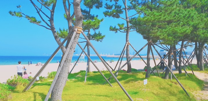 korea sea