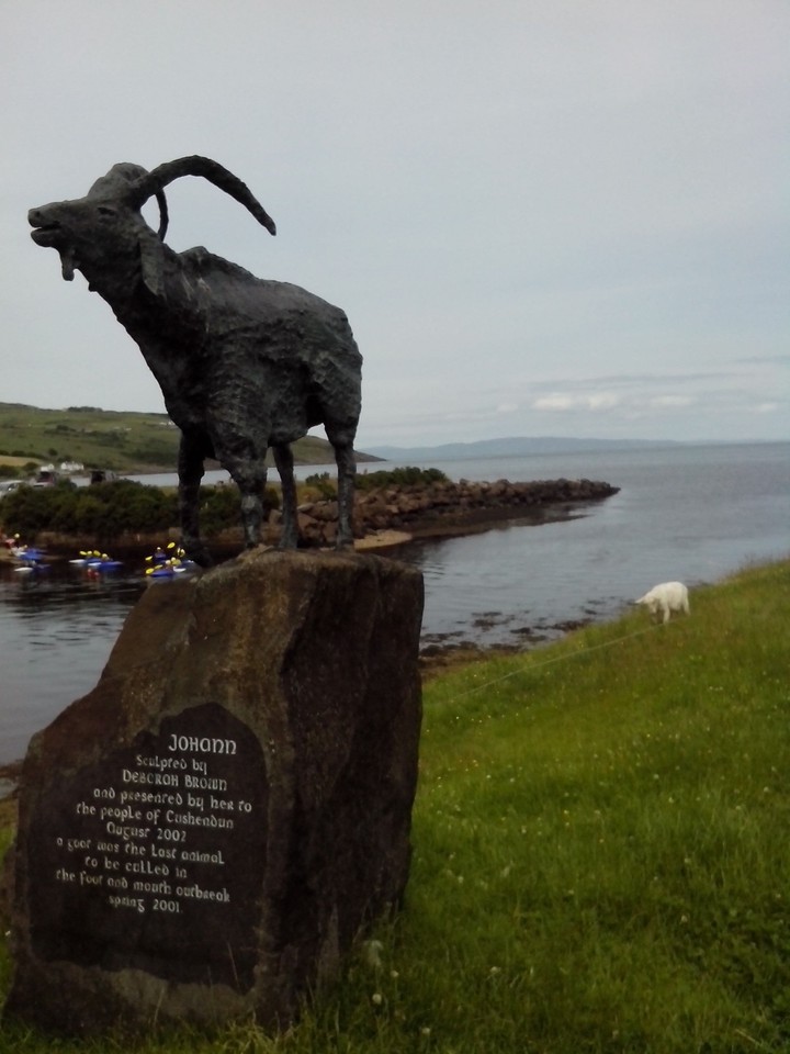 Goat stand on the stone :)