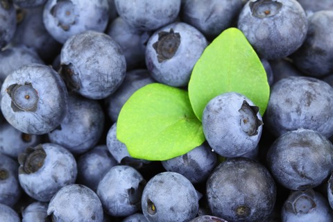 Blue berry