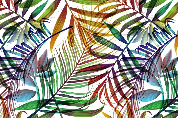 colorful plants