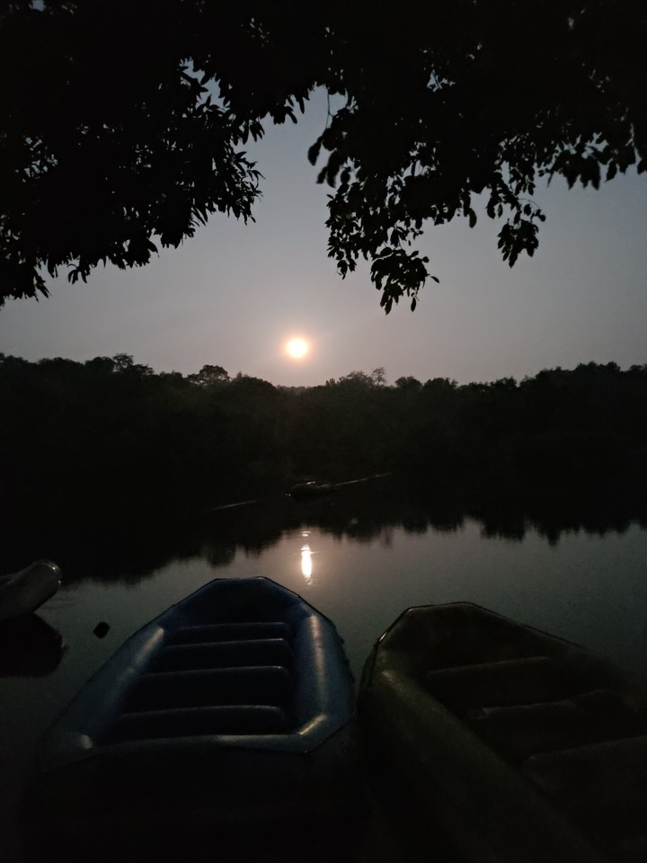 Moonlight!