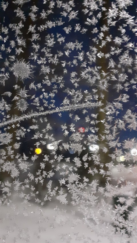 freezing, grass壁紙