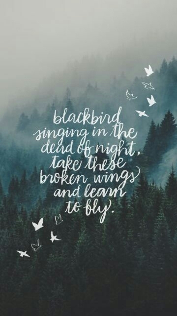 Verse