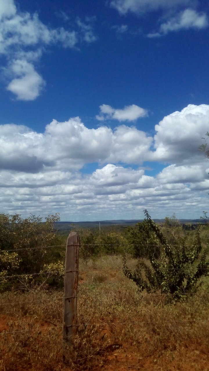 Horizonte Bahia- Brazil