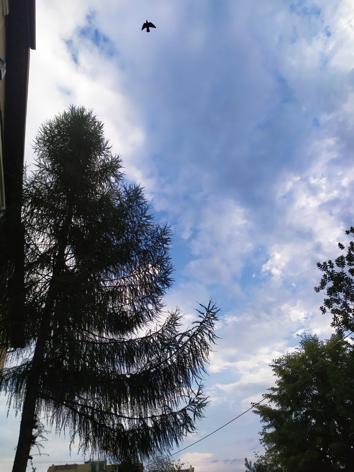 небо