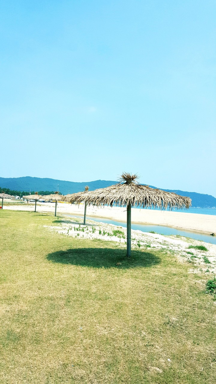한가로운 오후