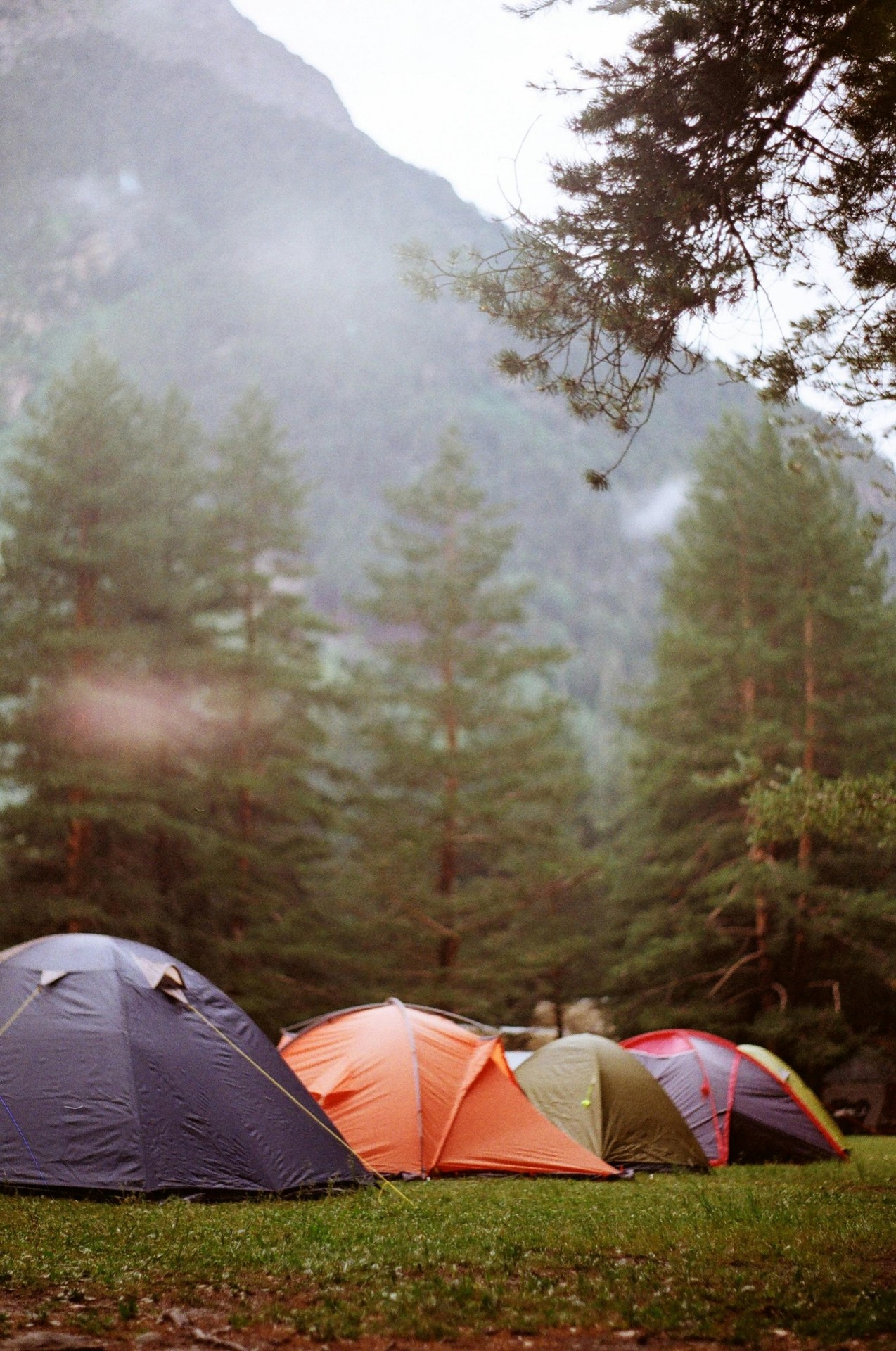 recreation, nature duvar kağıtları