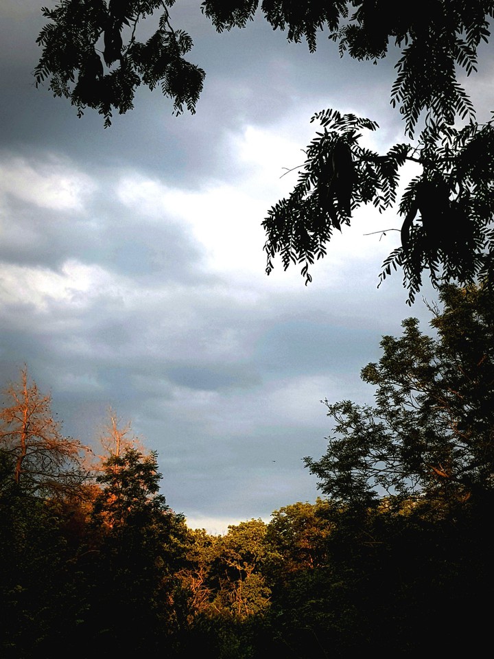 sunset view