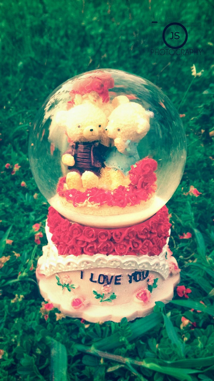 love you