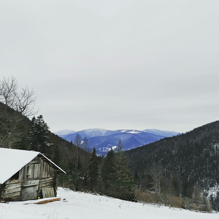 Карпаты