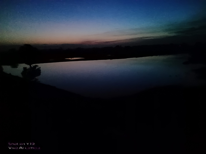 Dark View