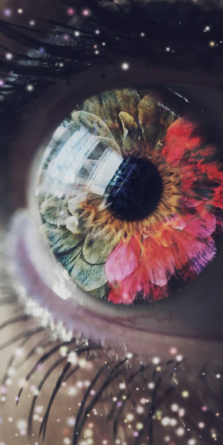eye