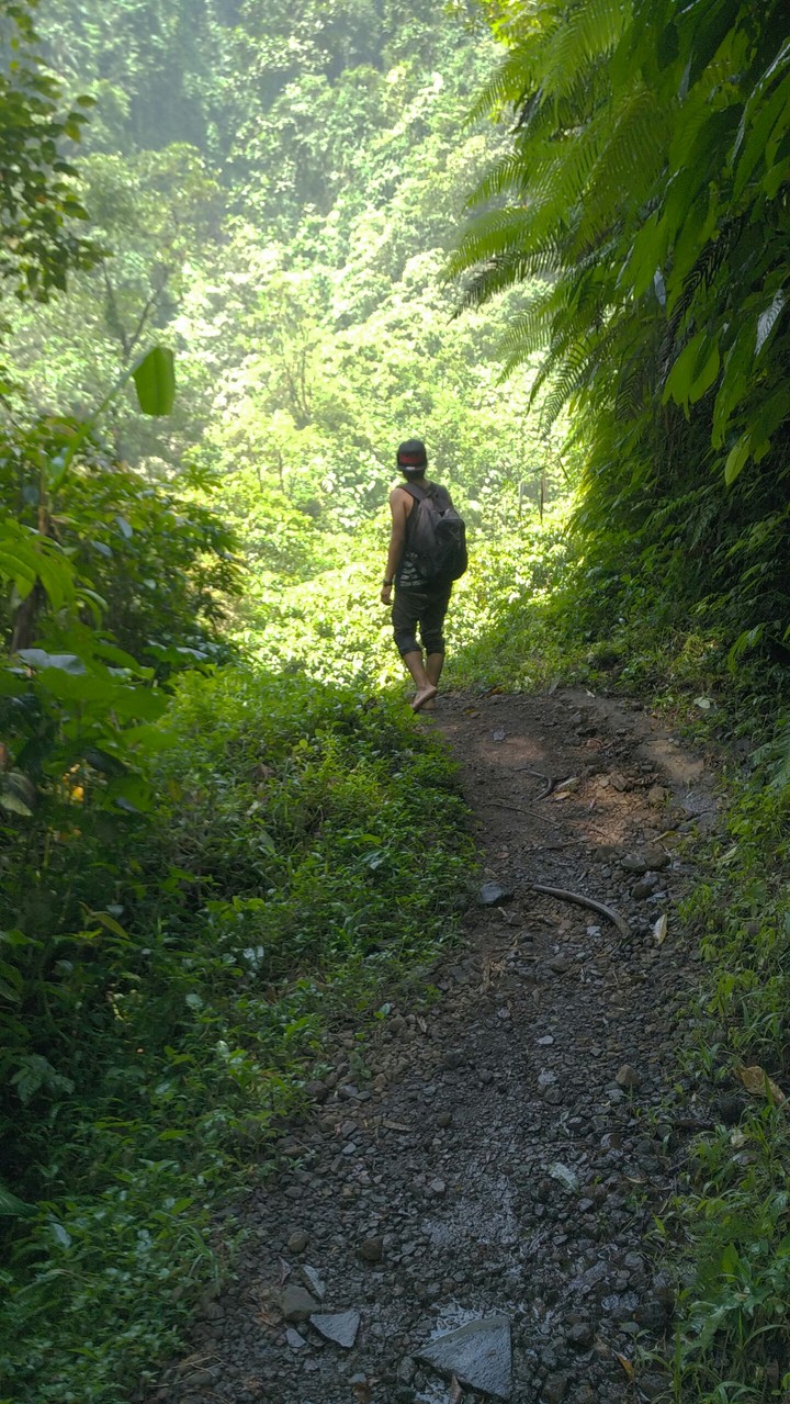 back to Nature