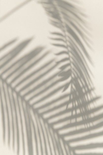 Shadow