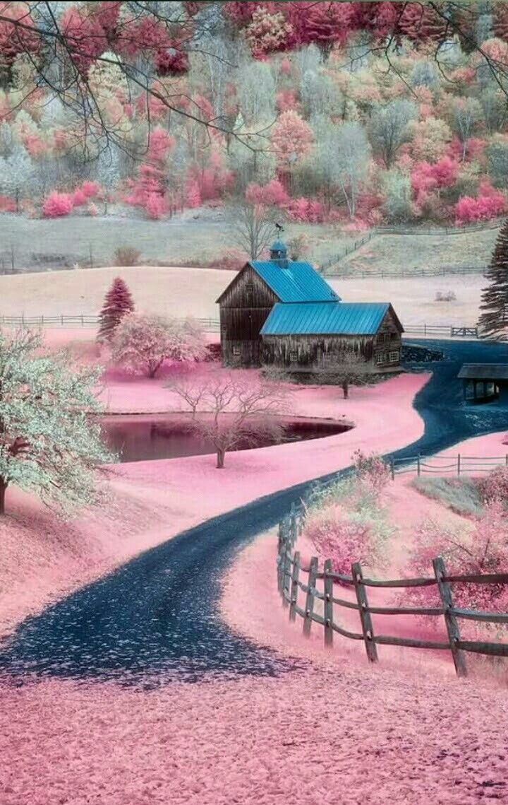 all pink