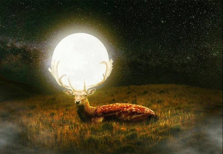 fantasy