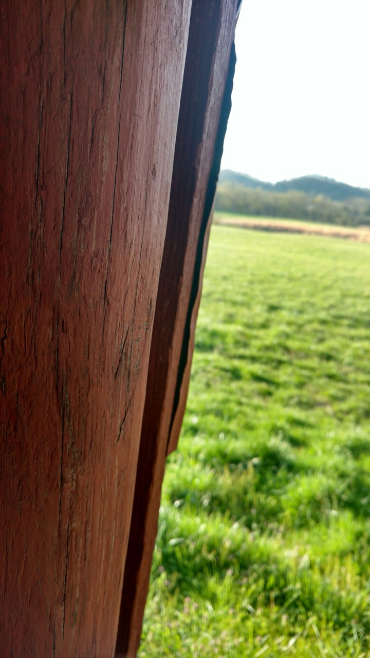 Wood Meets Grass